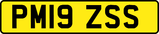 PM19ZSS