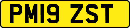 PM19ZST