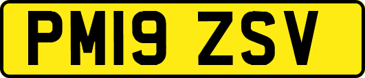 PM19ZSV