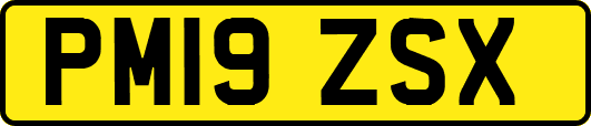 PM19ZSX