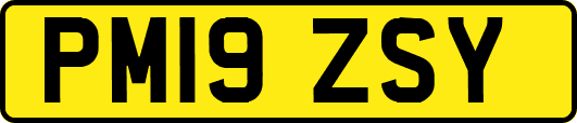 PM19ZSY