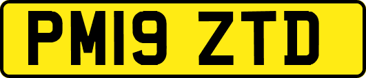 PM19ZTD