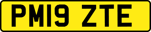 PM19ZTE