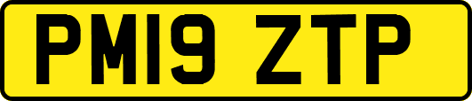 PM19ZTP