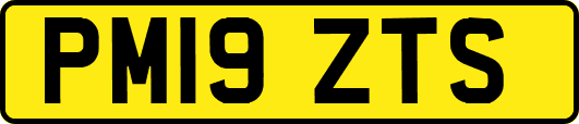 PM19ZTS