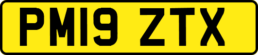 PM19ZTX