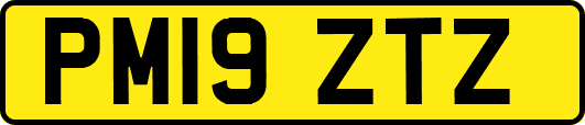 PM19ZTZ