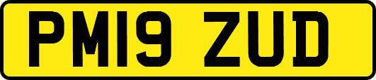 PM19ZUD