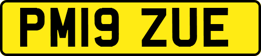 PM19ZUE