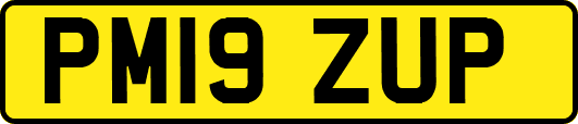 PM19ZUP