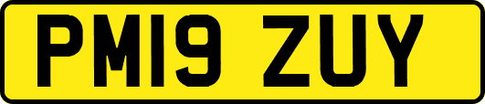 PM19ZUY