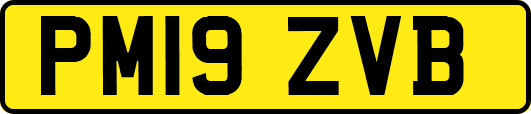 PM19ZVB