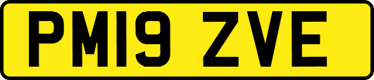 PM19ZVE