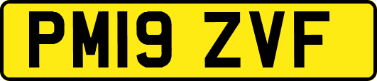 PM19ZVF