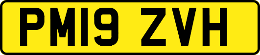 PM19ZVH