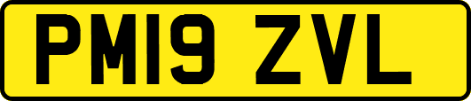 PM19ZVL