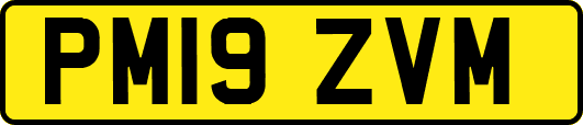 PM19ZVM