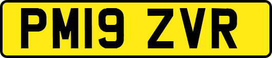 PM19ZVR