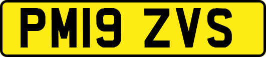 PM19ZVS