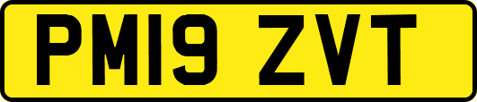 PM19ZVT