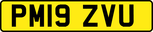 PM19ZVU