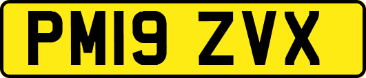 PM19ZVX