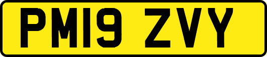 PM19ZVY