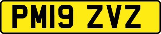 PM19ZVZ