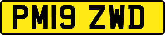 PM19ZWD