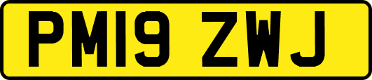 PM19ZWJ