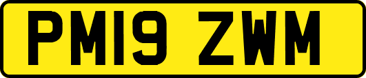 PM19ZWM