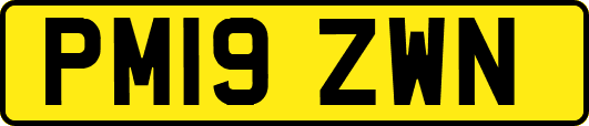 PM19ZWN