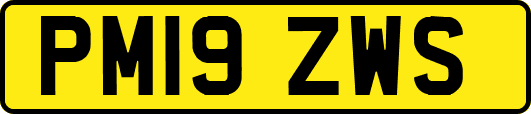 PM19ZWS