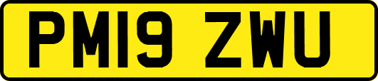 PM19ZWU