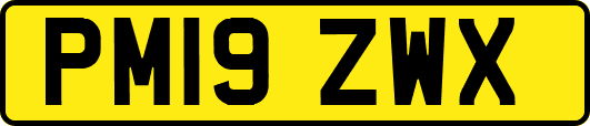 PM19ZWX