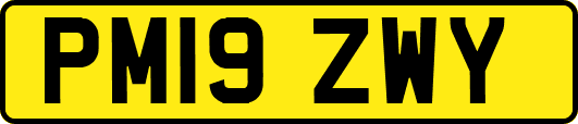 PM19ZWY