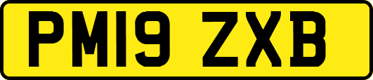 PM19ZXB