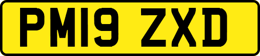 PM19ZXD