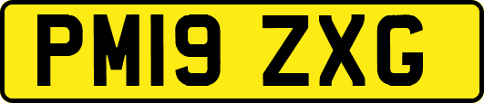 PM19ZXG