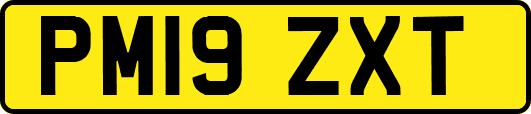 PM19ZXT