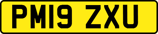 PM19ZXU