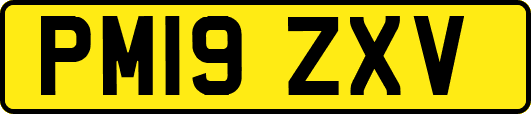 PM19ZXV