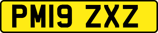 PM19ZXZ