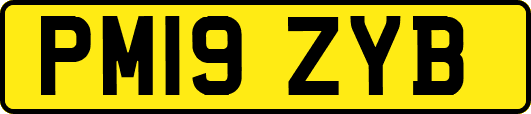 PM19ZYB