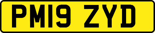 PM19ZYD