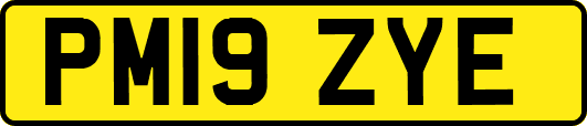 PM19ZYE