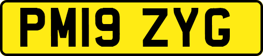 PM19ZYG