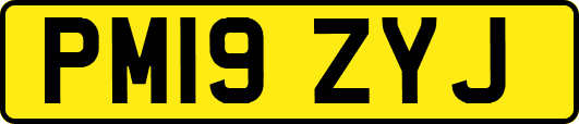 PM19ZYJ