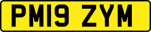 PM19ZYM