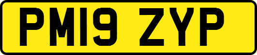 PM19ZYP